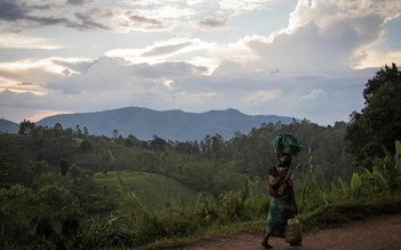 Natures Est de la RDC